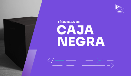 Técnicas de caja negra