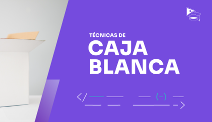 Técnicas de caja blanca